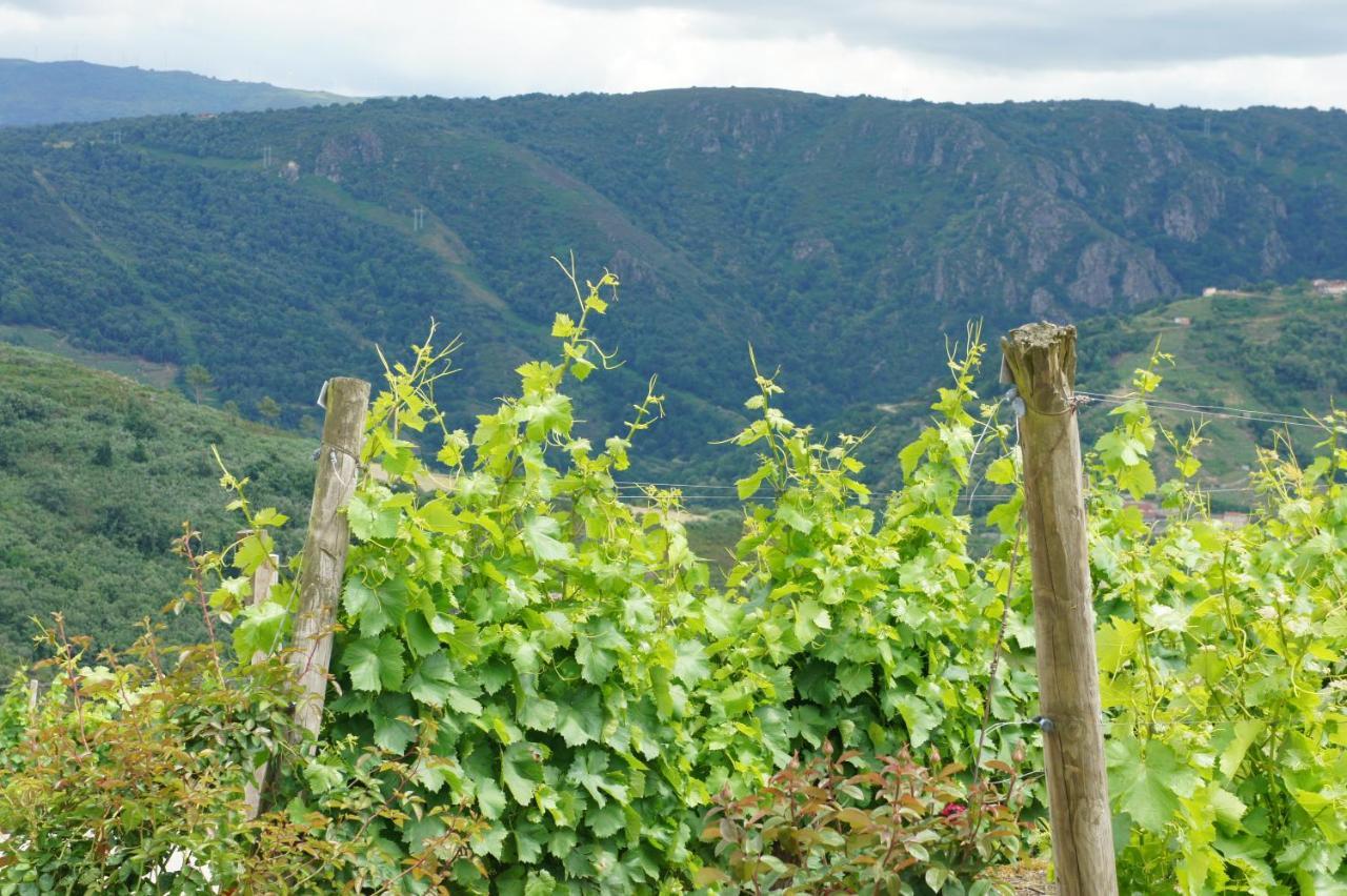O Muino Casa Ferrador Ribeira Sacra Apartamento Barantes Exterior foto